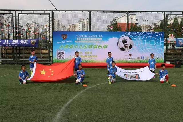 这类打法的 这类打法的