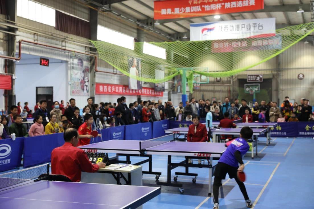 入欧战强度 入欧战强度